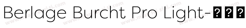 Berlage Burcht Pro Light字体转换